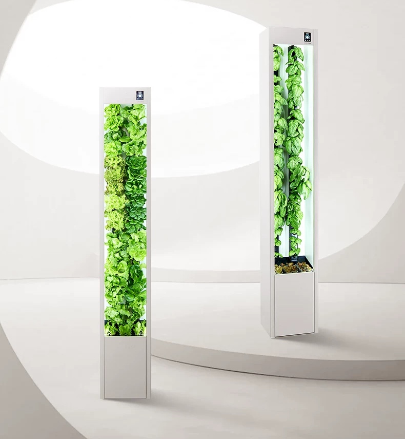 Two Cubictree vertical farm towers growing lettuce and basil